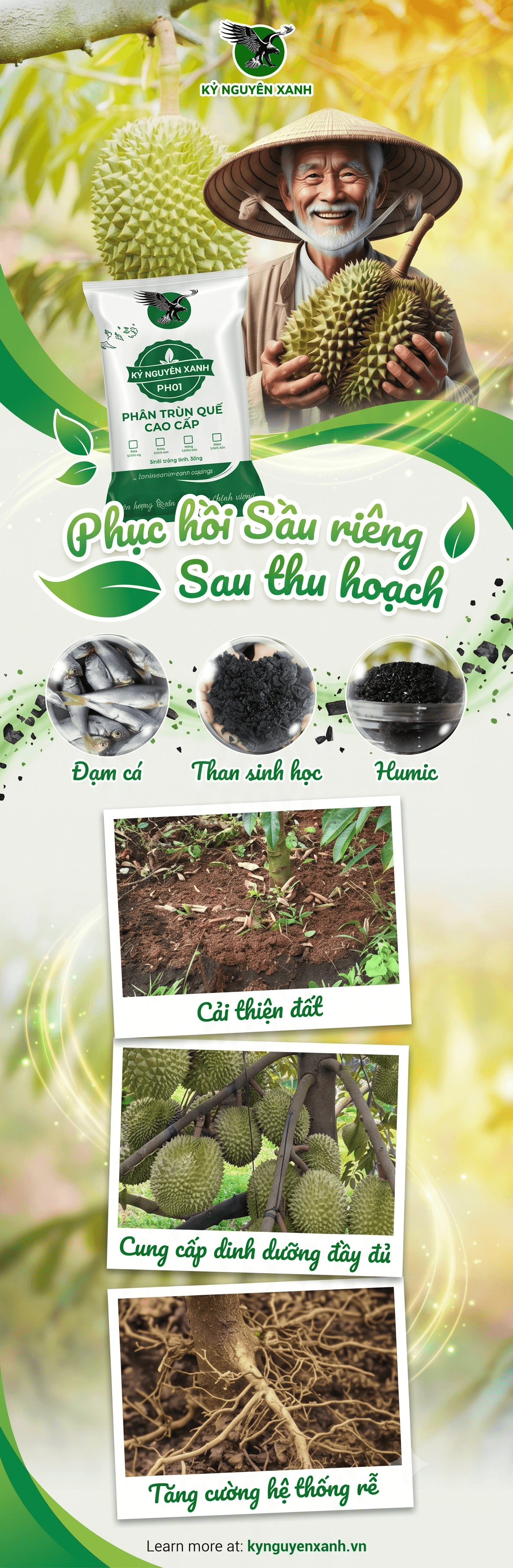 Banner Đại Lý Phân Phối Sầu Riêng Việt Nam